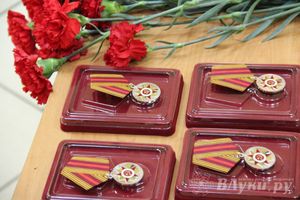 В Великих Луках состоялось вручение юбилейных медалей к 70-летию Победы (фото)