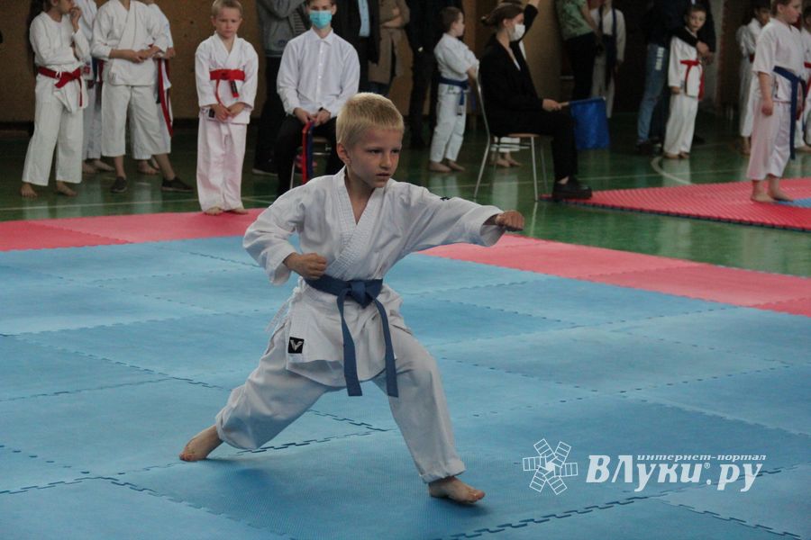 Открытый Кубок города Великие Луки по каратэ WKF (ФОТО)
