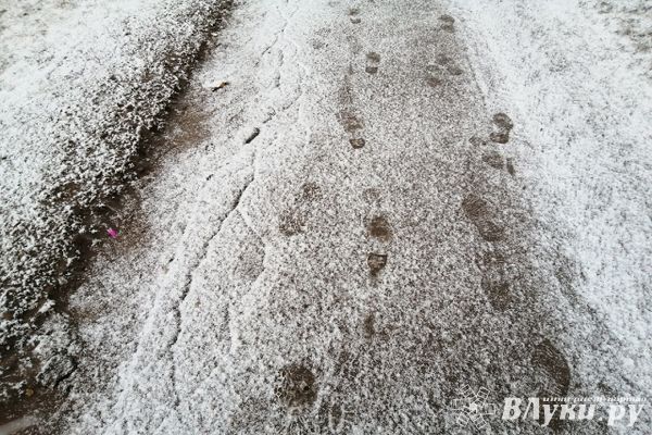 На Северо-Западе прогнозируют дожди, переходящие в снег