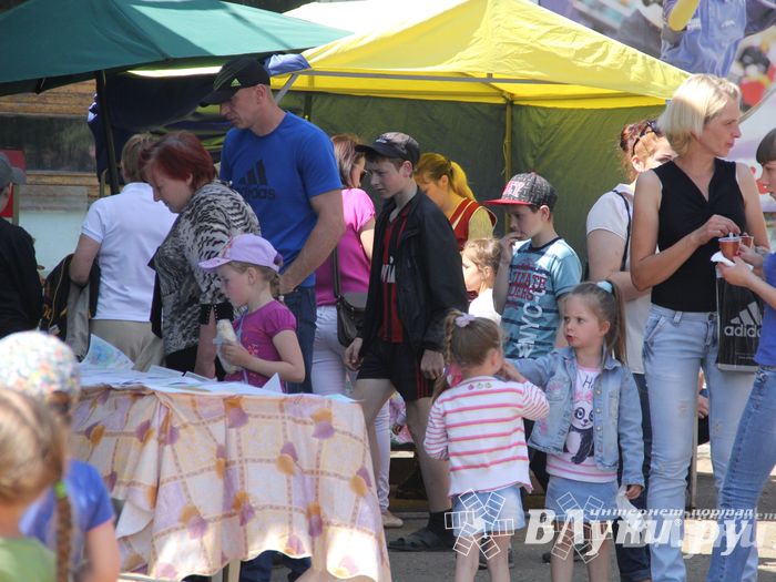 День защиты детей отпраздновали В Великих Луках (фото)