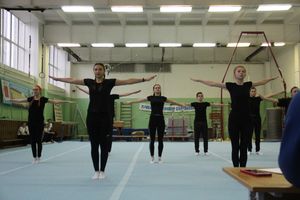 В Великих Луках проходят соревнования по гимнастике (ФОТО)