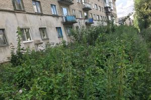 Пора приглашать англичан в Великие Луки (ФОТО)