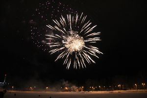 В Великих Луках зажглась новогодная ёлка (ФОТО)