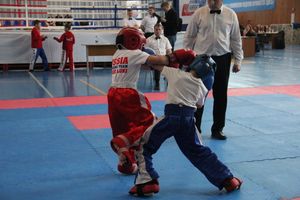 В Великих Луках проходит Кубок по кикбоксингу (ФОТО) (0+)