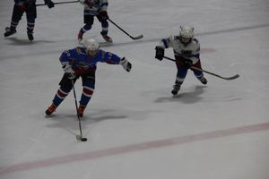 В Великих Луках прошел детский Открытый турнир по хоккею (ФОТО)