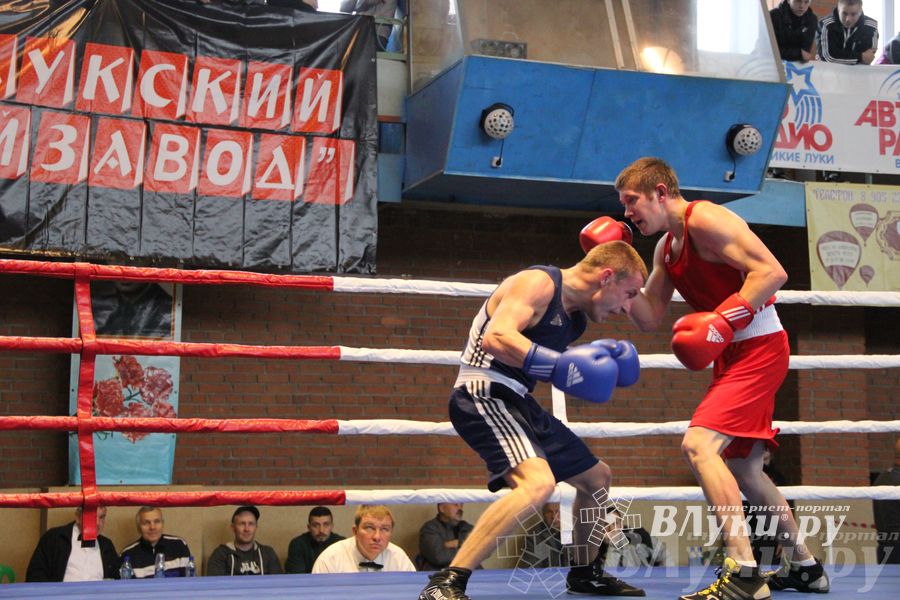 16-й Международный турнир по боксу (фото)