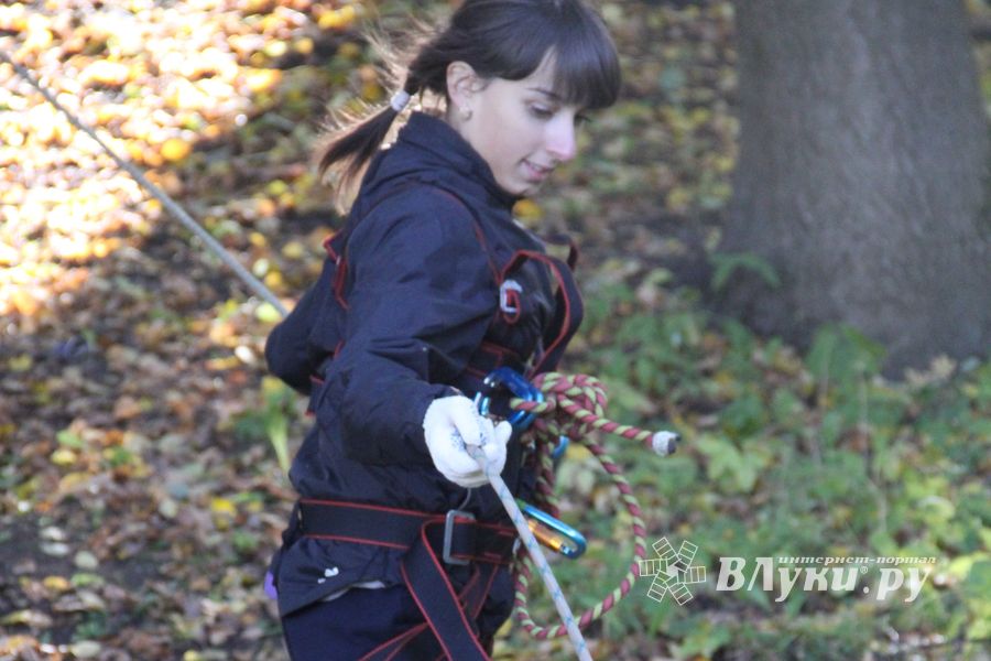 «Кубок первокурсника 2014» 