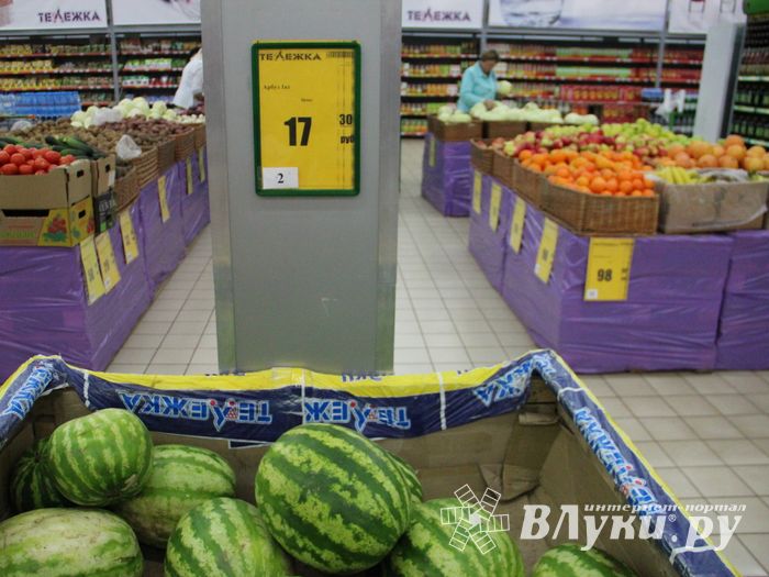 В Великих Луках проверили бахчевые (ФОТО)