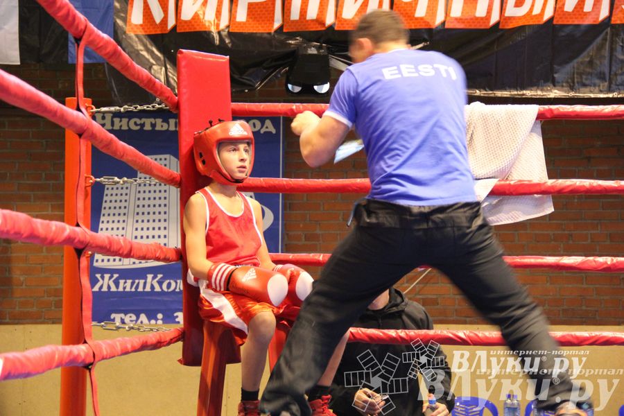 Открытие 16-го  Международного турнира по боксу