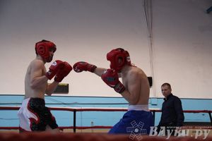 Открытый Кубок города Великие Луки по смешанному боевому единоборству (ММА)