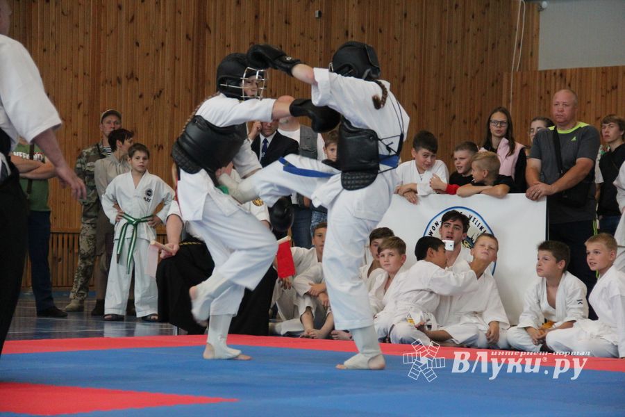 1-й Фестиваль боевых искусств состоялся в Великих Луках  (ФОТО)