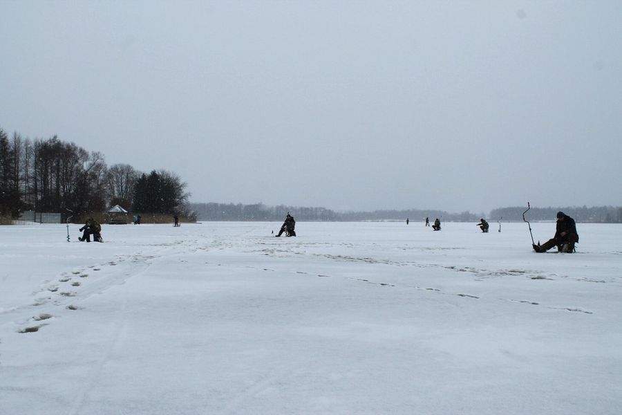 На Пореченском озере прошел Чемпионат города Великие Луки по ловле рыбы на блесну со льда (ФОТО)