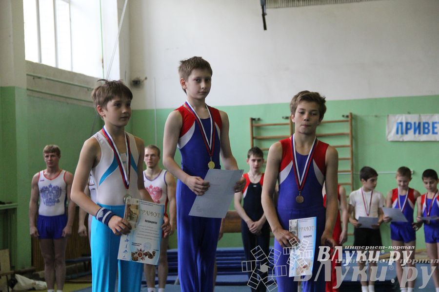 Открытый Кубок Псковской области по спортивной гимнастике