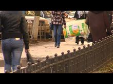 Импульс-ТВ: Жильё для молодых семей 