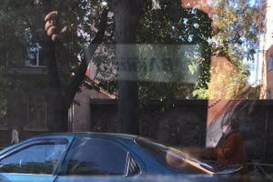 Фотофакт: В Великих Луках на проспекте Ленина произошло ДТП (фото)