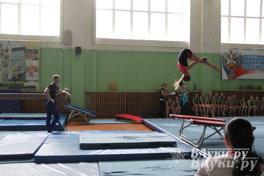 В Великих Луках состоялось Первенство по командной гимнастике (фото)