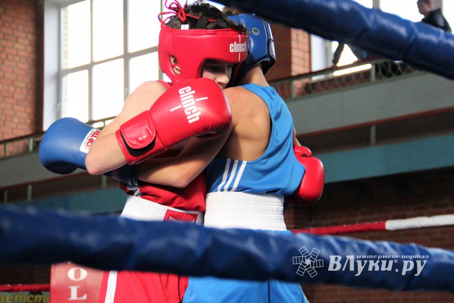 Второй день турнира по боксу складывается для великолучан удачно (ФОТО)