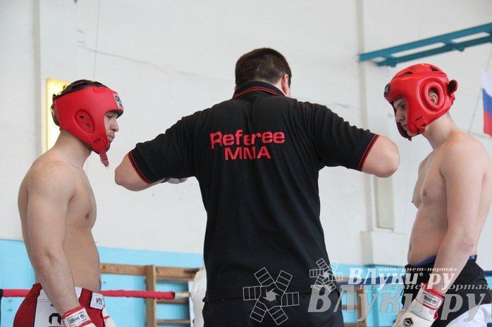 Чемпионат Псковской области по ММА