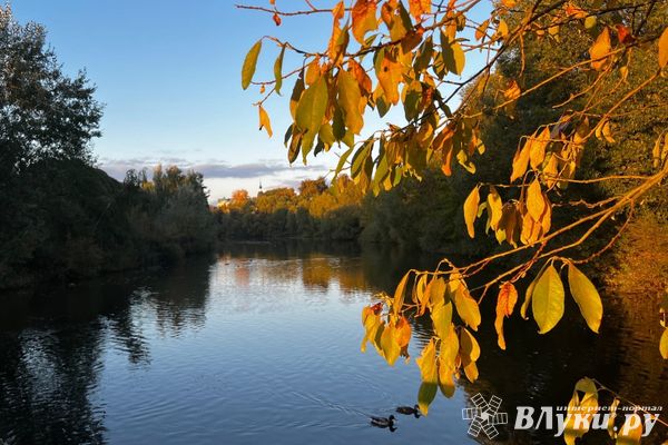 Прогноз погоды на 7 октября в Великих Луках