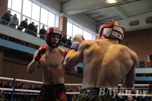 В Великих Луках прошел межрегиональный Открытый Кубок по смешанному боевому единоборству (фото)