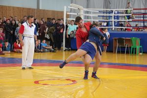 1-й Фестиваль боевых искусств состоялся в Великих Луках  (ФОТО)