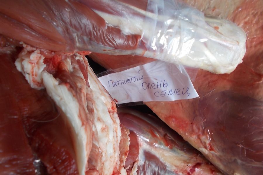 На границу Псковской области задержан белорус, перевозивщий туши диких животных (фото)