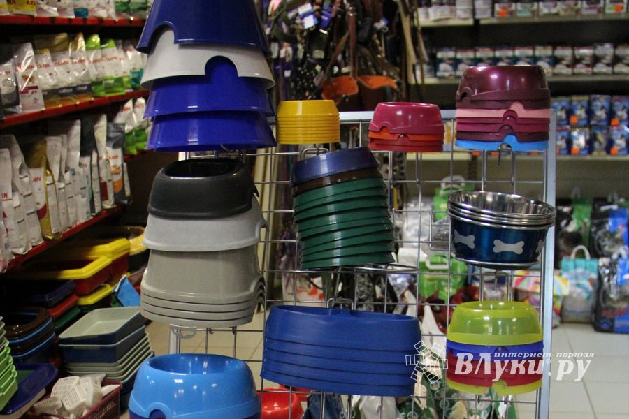 «Zooбастики»: подарите праздник своим любимцам! (ФОТО+ВИДЕО)