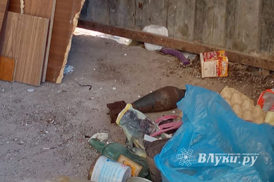 В Великих Луках обнаружили минометную мину (ФОТО)