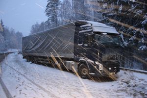 Фото: УМВД России по Псковской области