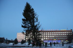 Новогодняя ель приехала в Великие Луки