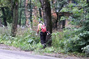В Великих Луках косят (ФОТО)