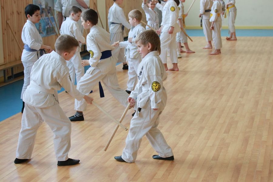 Ученики школы Дзюшин-рю кэмпо каратэ постигали искусство кобудзюцу (ФОТО)