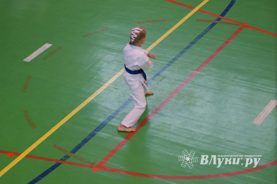В Великих Луках прошли соревнования по каратэ (ФОТО)