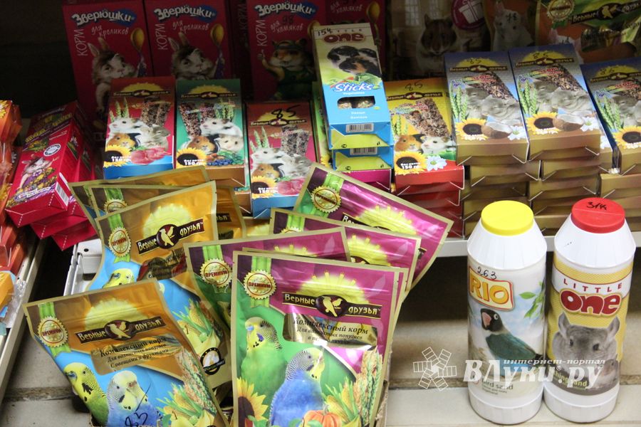 «Zooбастики»: подарите праздник своим любимцам! (ФОТО+ВИДЕО)