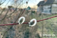 Прогноз погоды в Великих Луках на 7 апреля