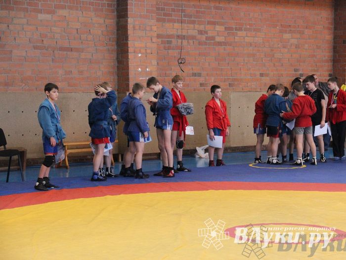 состоялось Открытое первенство города Великие Луки по борьбе самбо