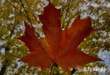 На Северо-Западе ожидается сухая погода