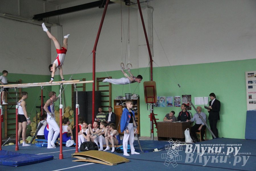 В Великих Луках прошел турнир по спортивной гимнастике (фото)