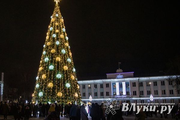 Праздничные каникулы в Псковской области прошли без нарушений общественного порядка
