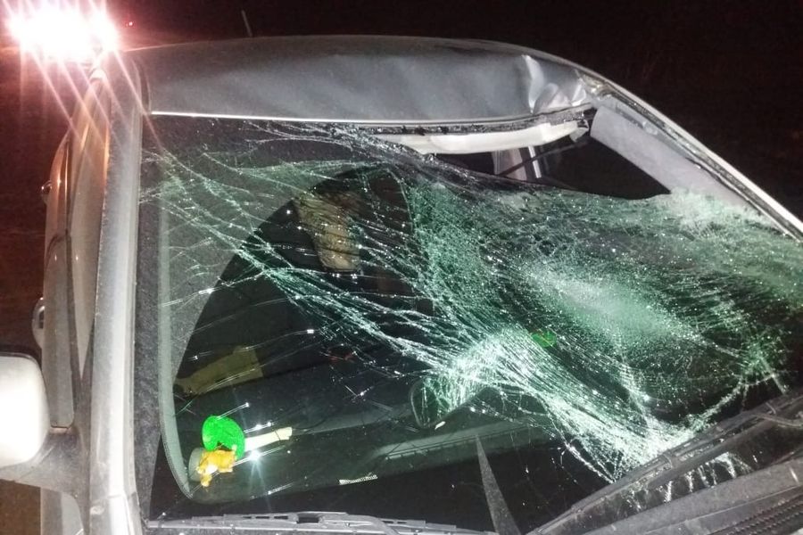 В Великолукском районе в ДТП погиб мужчина (ФОТО)