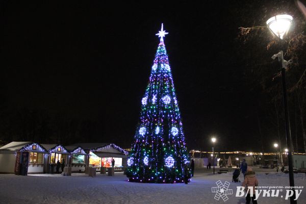 Псковский дизайнер рассказала, какие новогодние елки сейчас в тренде