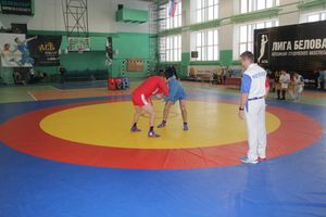 В Великих Луках прошел турнир по самбо, посвященный подвигу Александра Матросова (ФОТО)