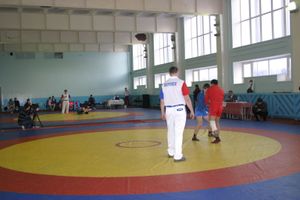 Состоялось открытие Всероссийского турнира по самбо среди мужчин, посвященного подвигу Александра Матросова 