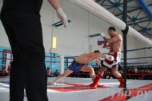 Чемпионат Псковской области по ММА