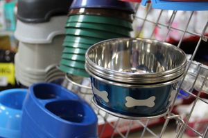 «Zooбастики»: подарите праздник своим любимцам! (ФОТО+ВИДЕО)