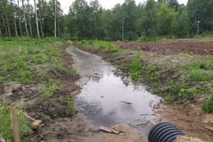 В парке «Петровском» появляются пешеходные дорожки (ФОТО)
