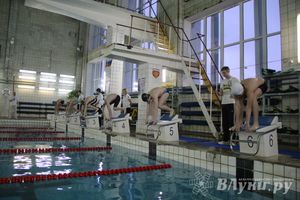 В Великих Луках прошло Первенство по плаванию (фото)
