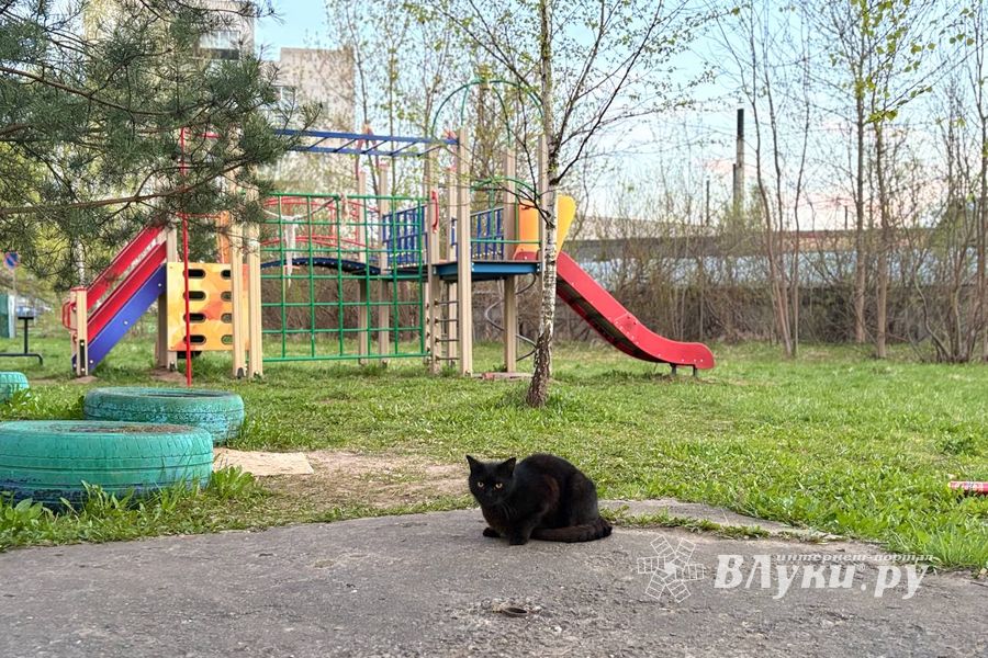 ВЛуки.ру