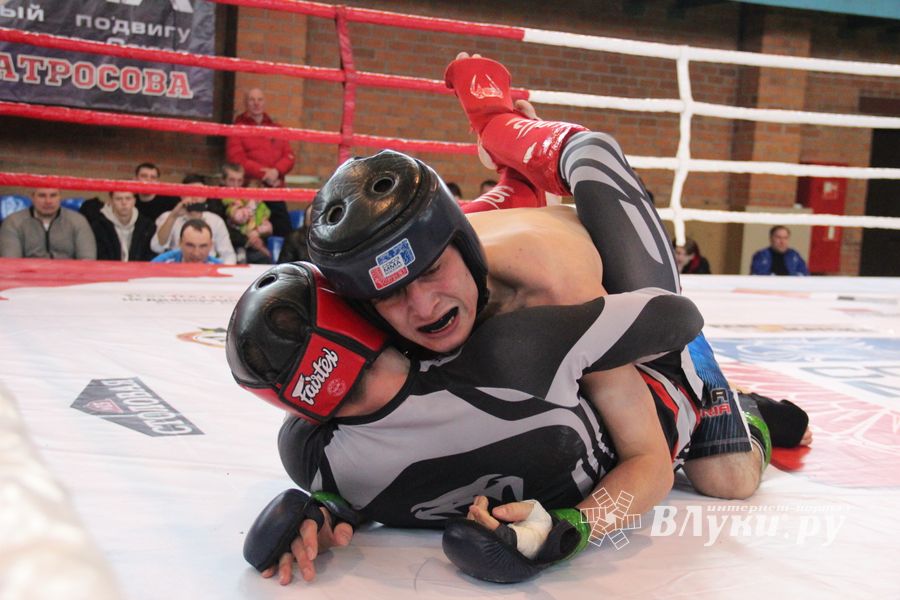 В Великих Луках прошел международный открытый Кубок по смешанному боевому единоборству (ФОТО) (16+)