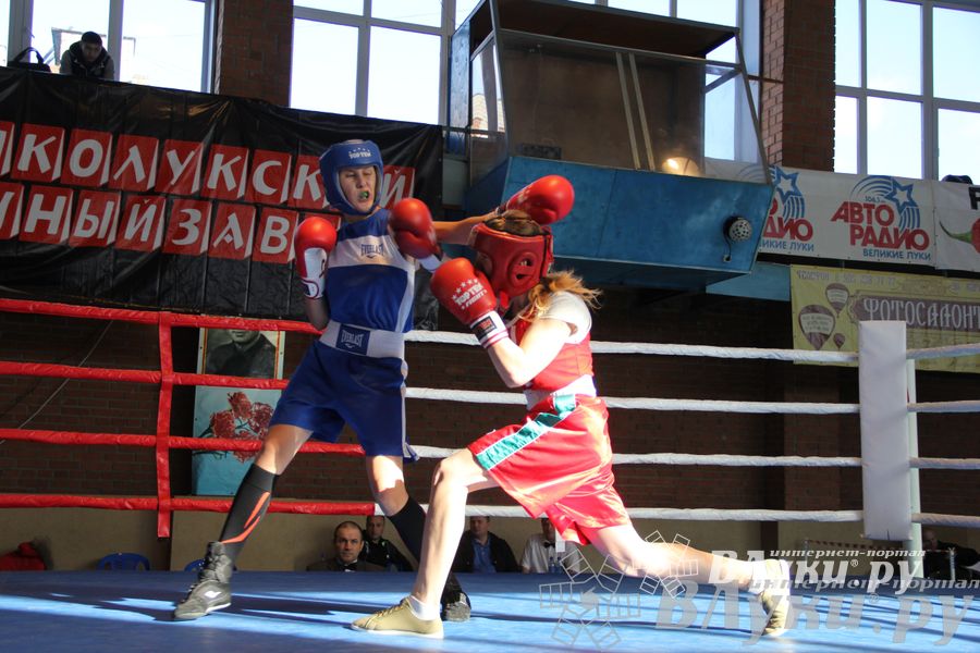 3-й день соревнований Международного турнира по боксу